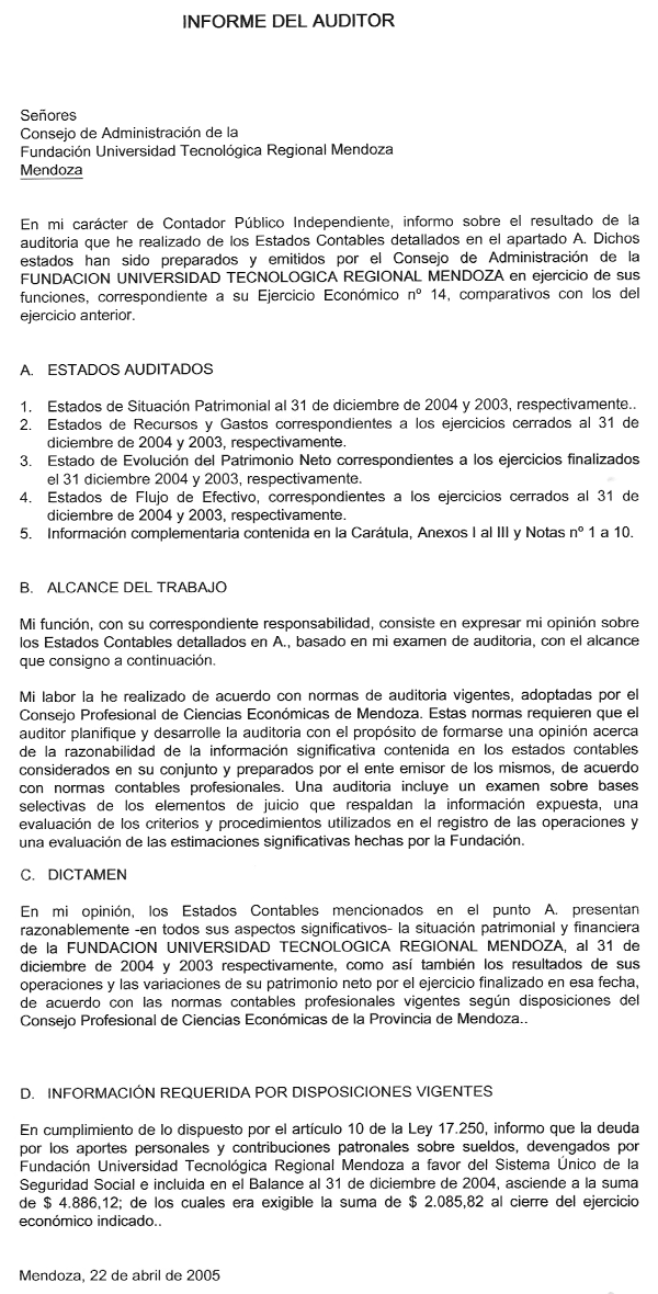 Informe del Auditor